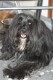 Thumbs/tn_Bild-01 039.jpg